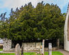  B005375coroofm